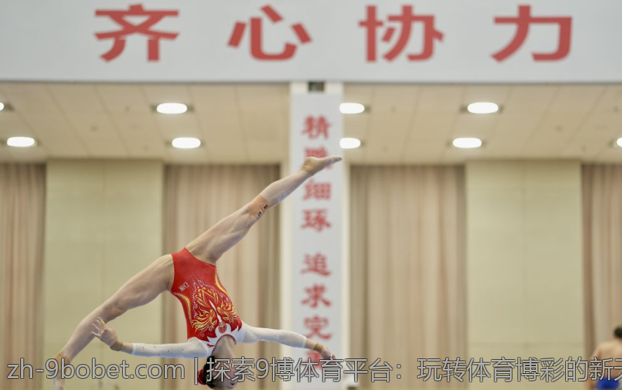 探索9博体育平台：玩转体育博彩的新天地